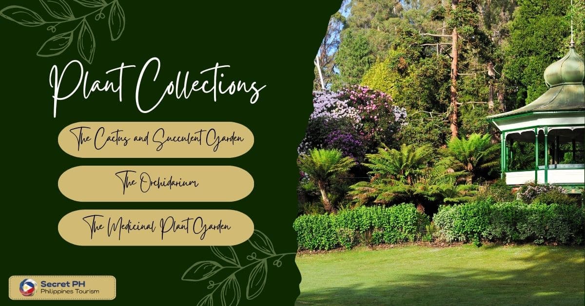 Plant Collections