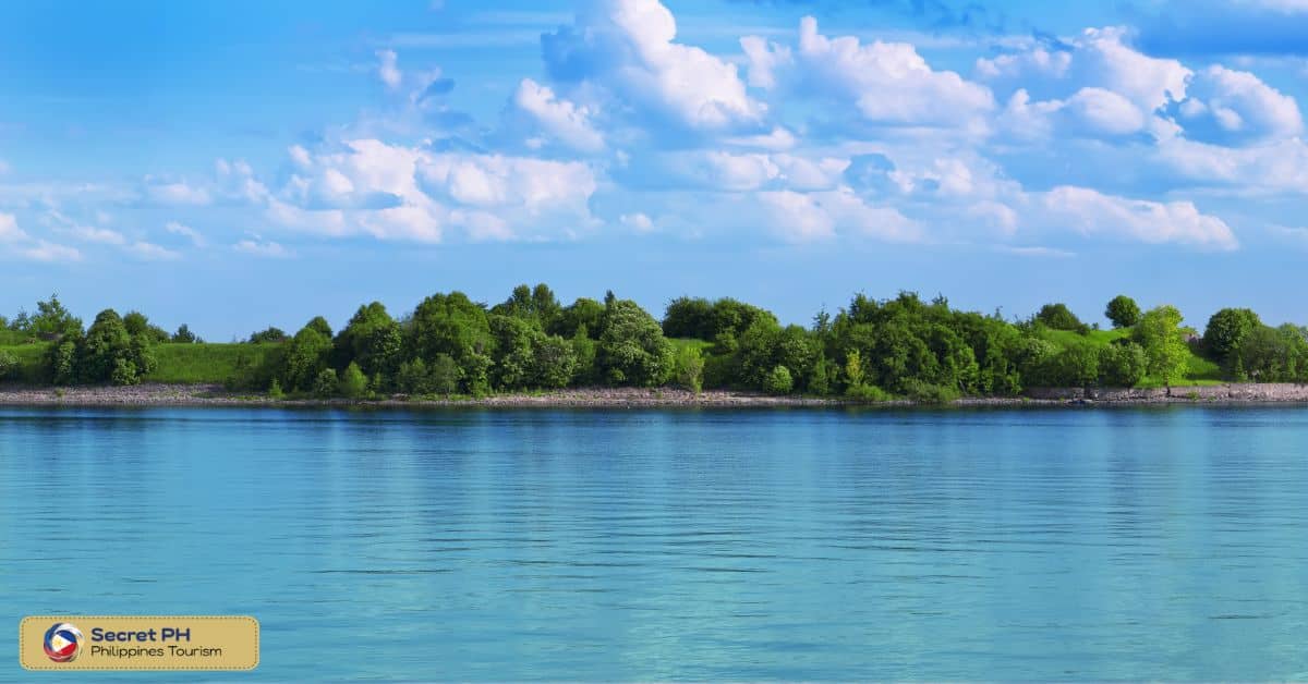 Visit Kalanggaman Island and its rich marine life