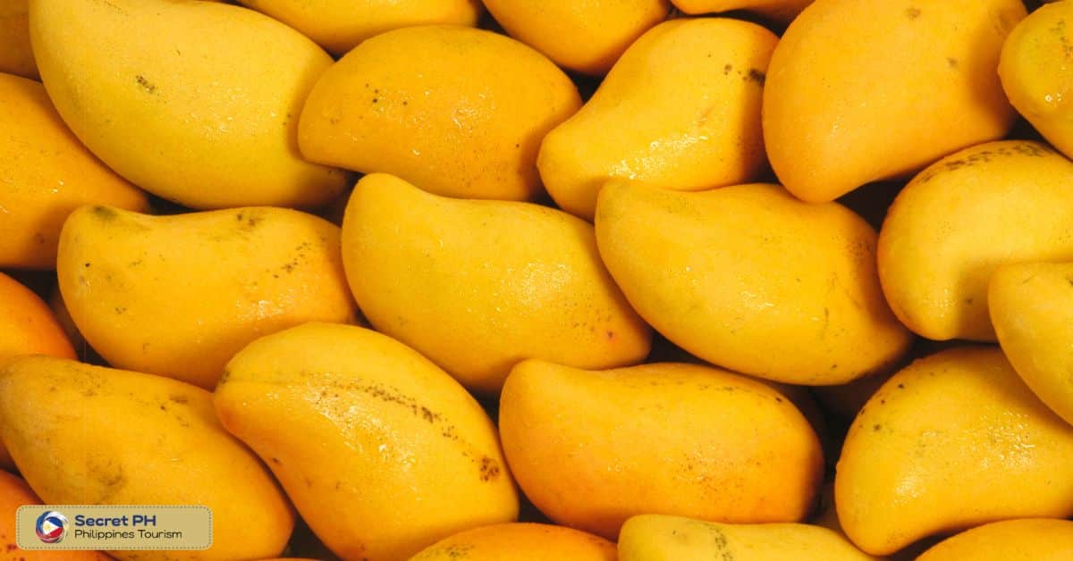 Manggahan festival Mangoes