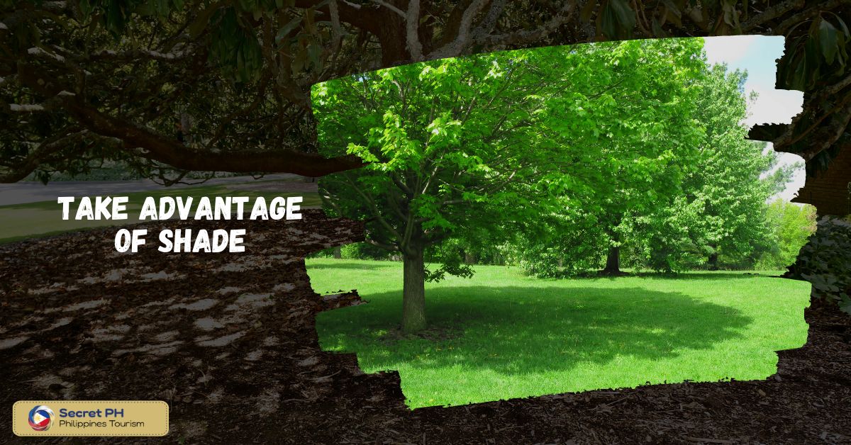 Take advantage of shade