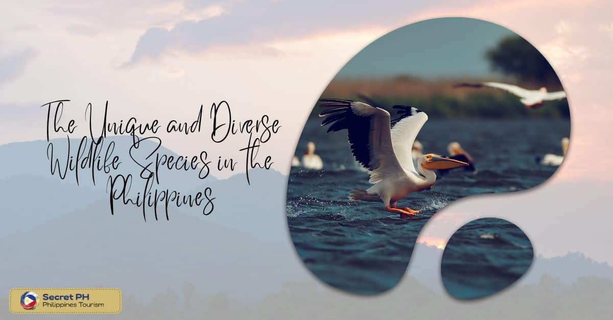 The Unique and Diverse Wildlife Species in the Philippines