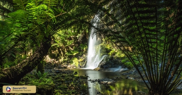 6. Canabo Water Falls