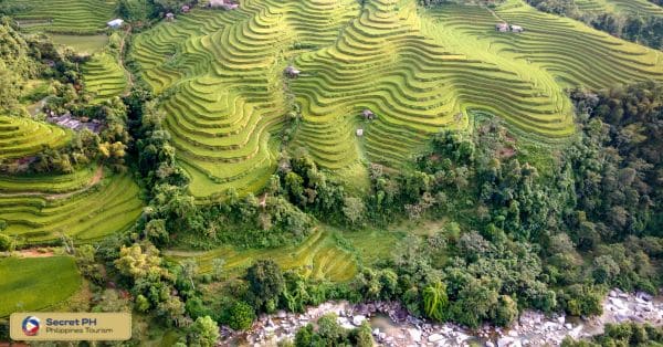 Rice terraces of Batad