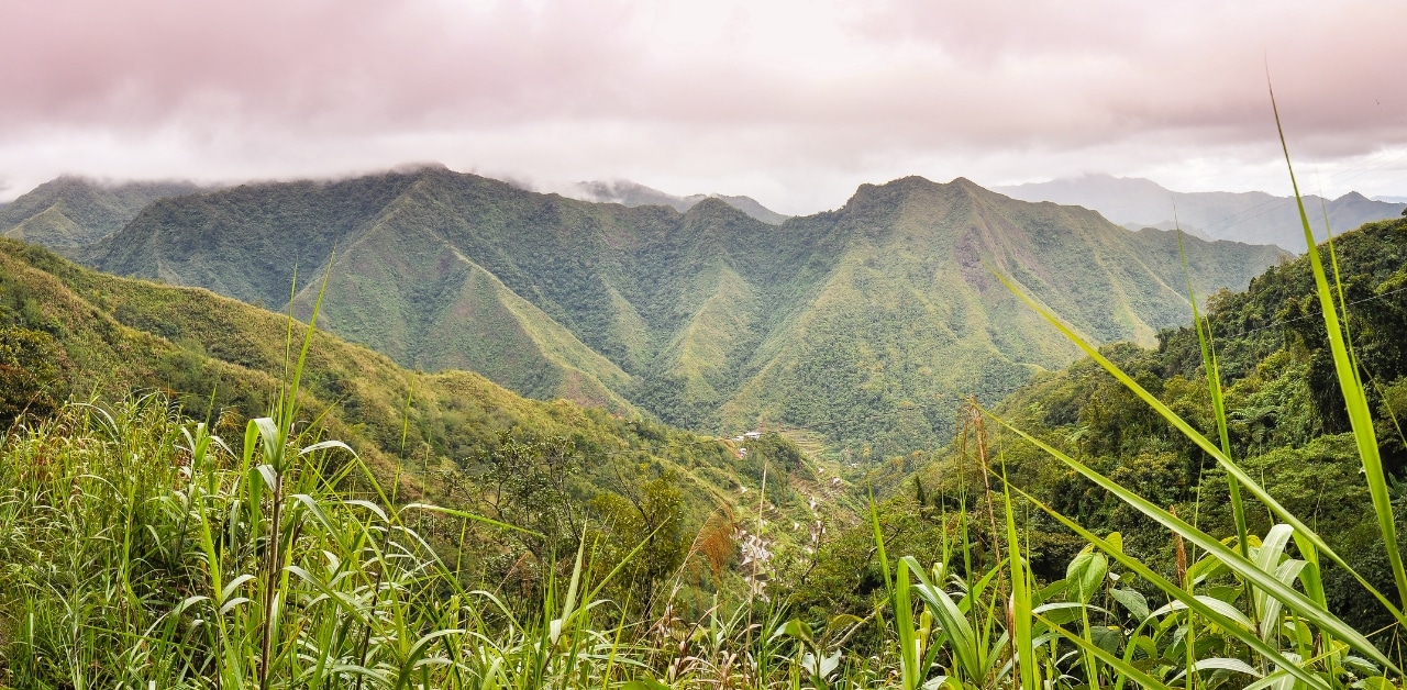 Mt. Kitanglad Range Natural Park