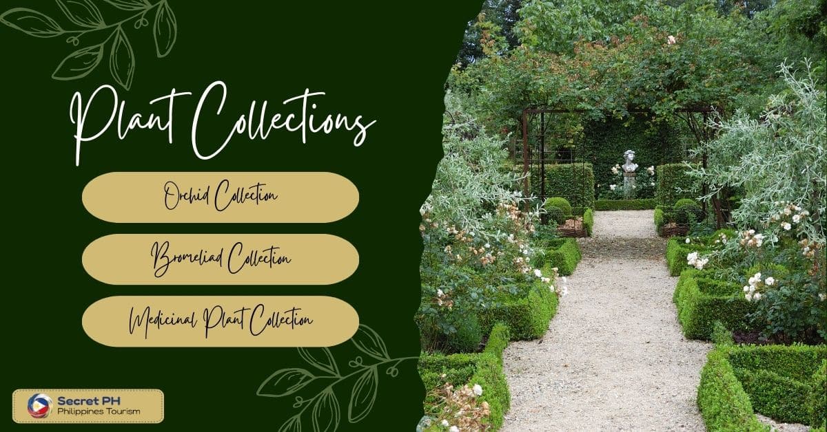 Plant Collections