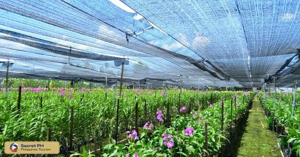 Northern Blossom Flower Farm