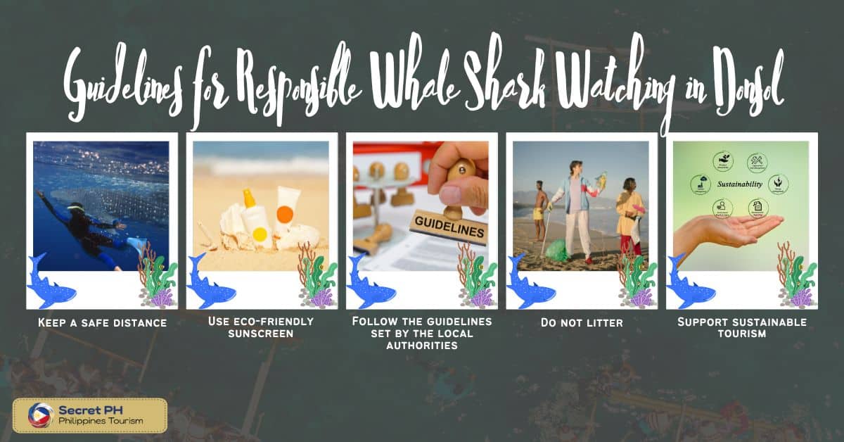 Guidelines for Responsible Whale Shark Watching in Donsol