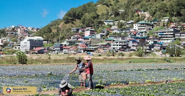 8. Enchanting Atmosphere of La Trinidad Strawberry Farms