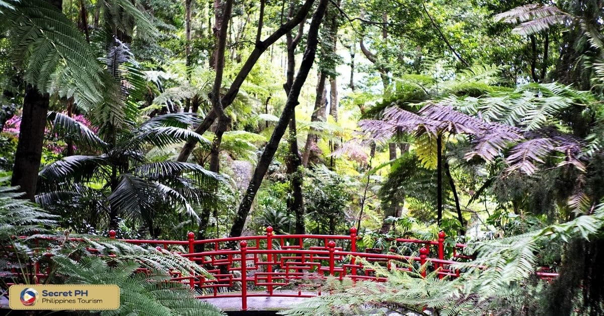 RainForest Botanical Garden
