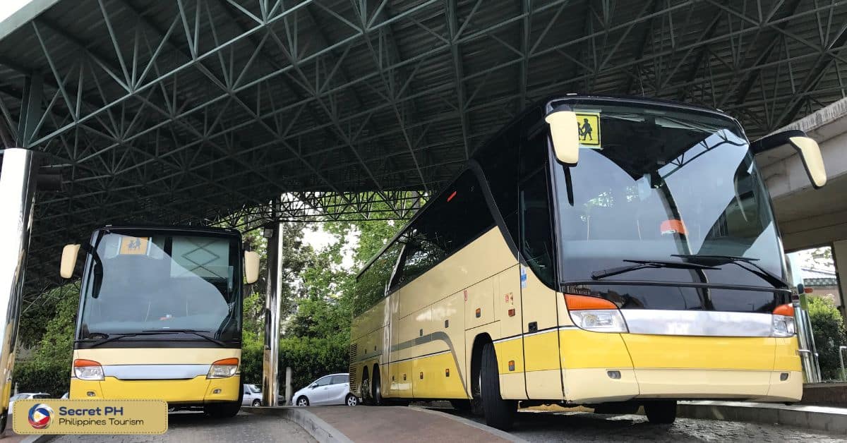 Buses