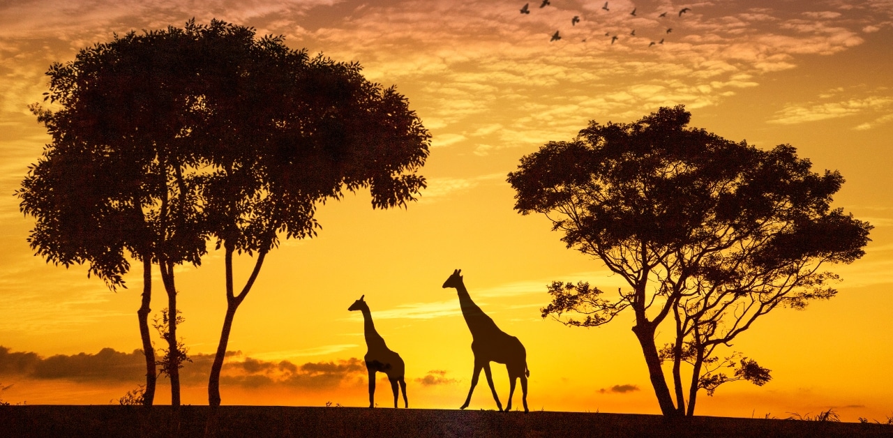Rasa Island Wildlife Sanctuary