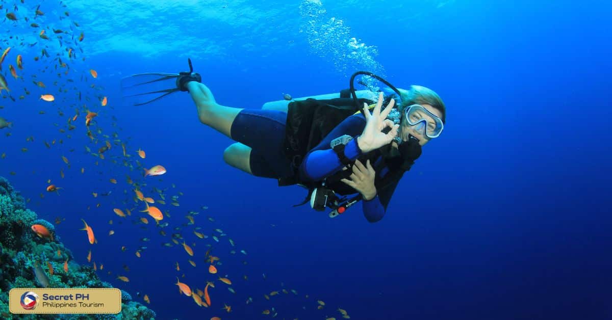 Dive Point Siquijor