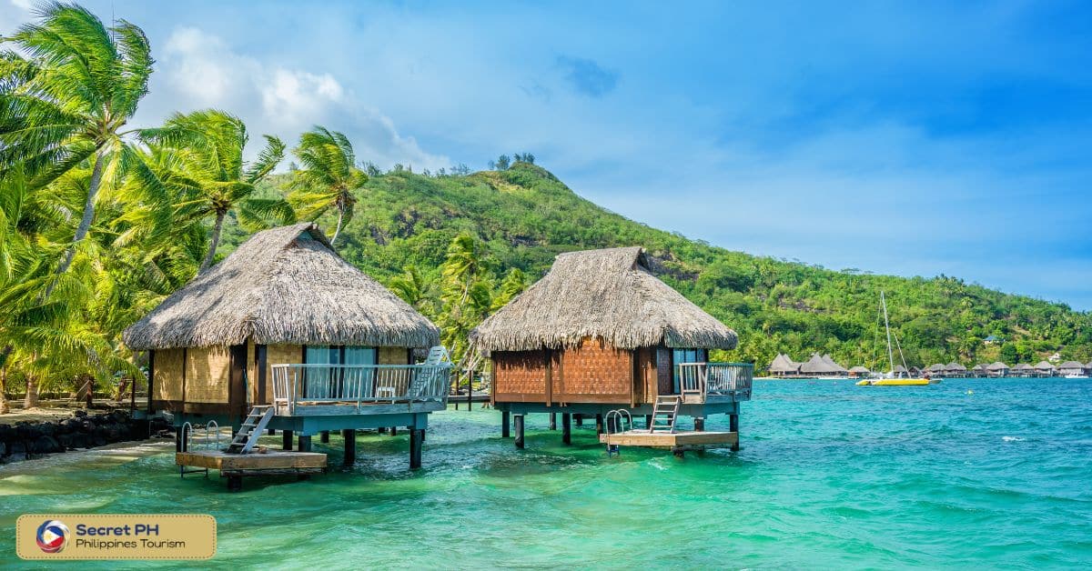 Dream Wellness Resort