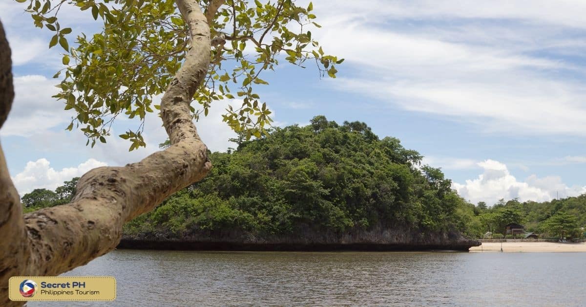 9. Guimaras Island: The Mango Capital of the Philippines