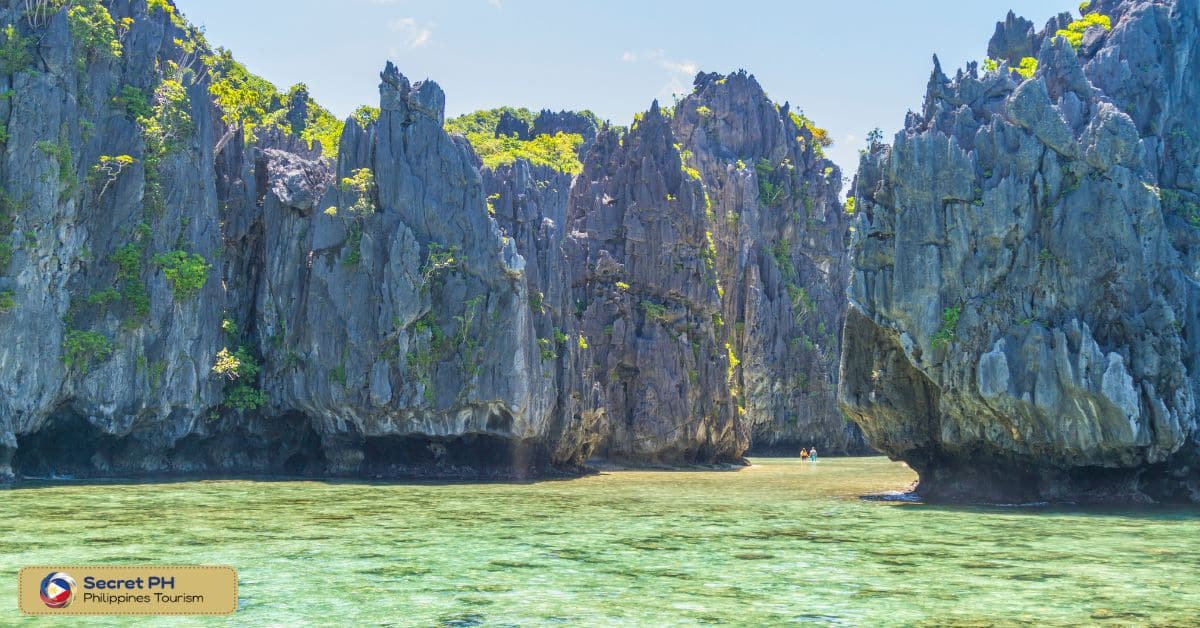 A Tropical Paradise for Relaxation