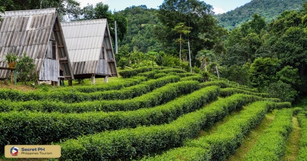 Accommodation Options in Kalinga's Rural Homestays