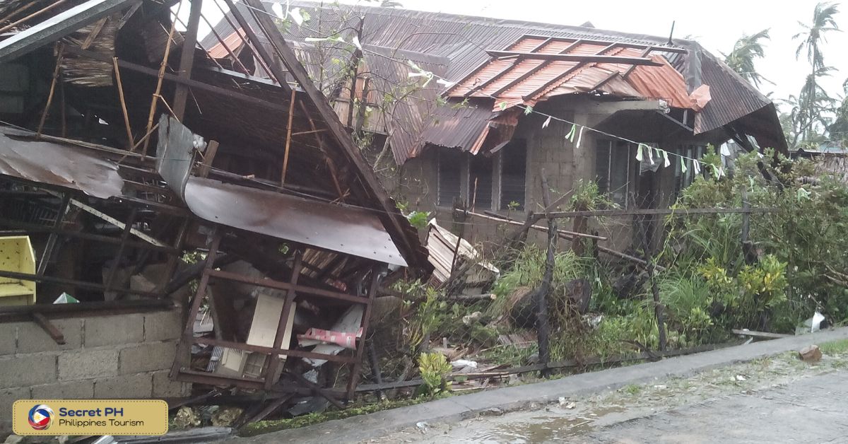After the Typhoon: Dealing with the Aftermath