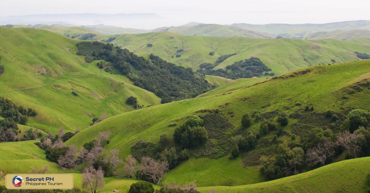 Apao Rolling Hills