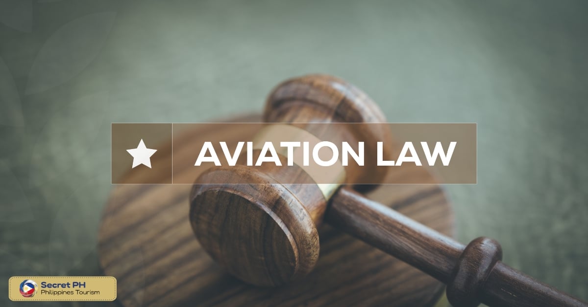Aviation Services Law