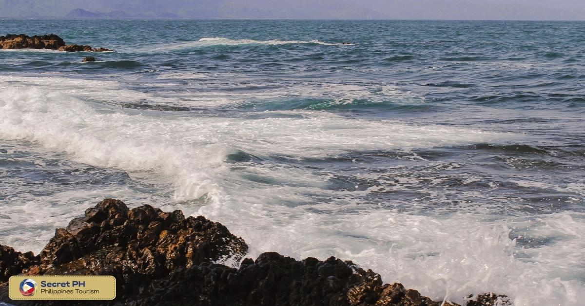 Baler