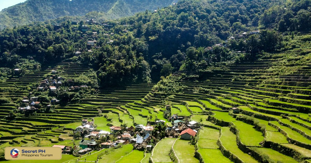 Banaue