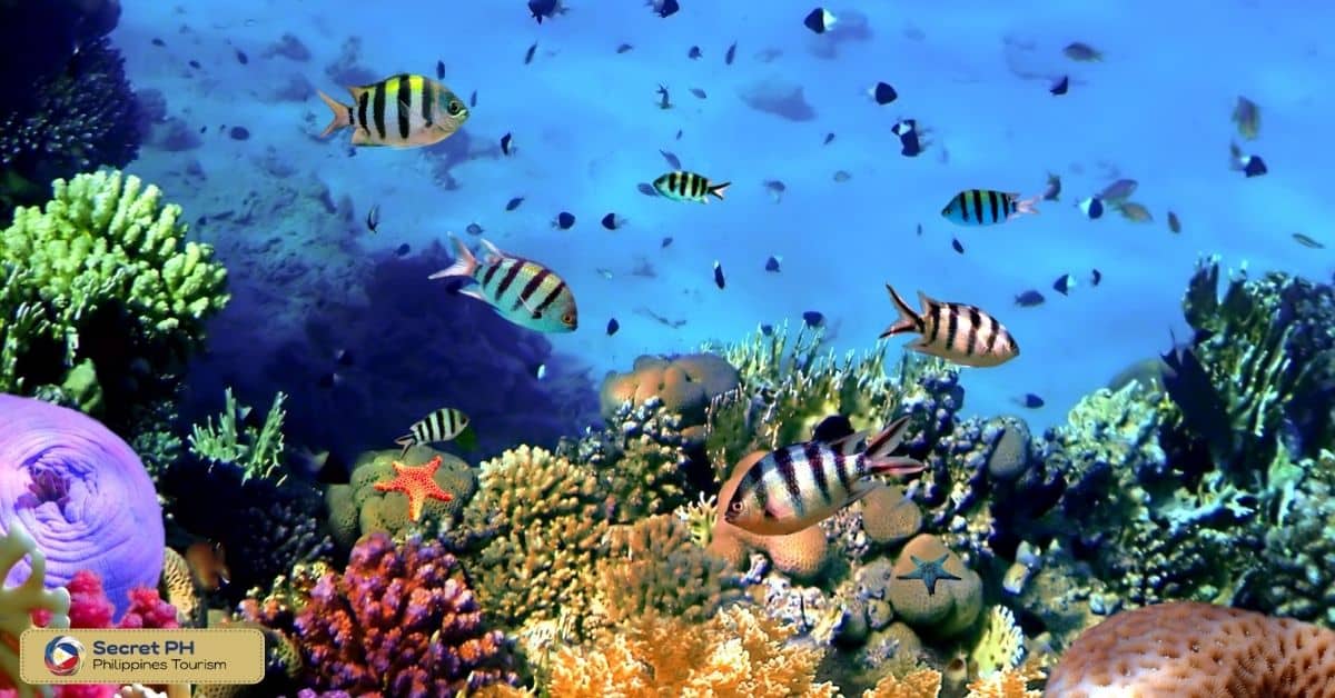 Biodiversity in the National Parks of the Philippines