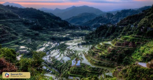 Bird's-Eye Vistas of the Rice Terraces
