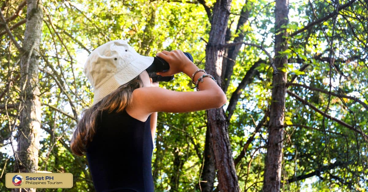 Birdwatching and Wildlife Spotting in Abra's Natural Reserves