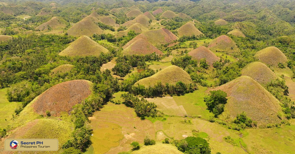Bohol