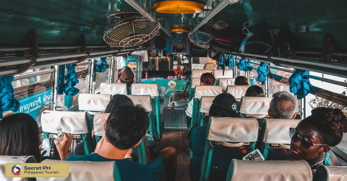 Buses