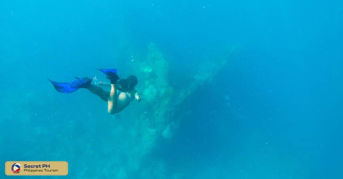 Busuanga Bay Divers