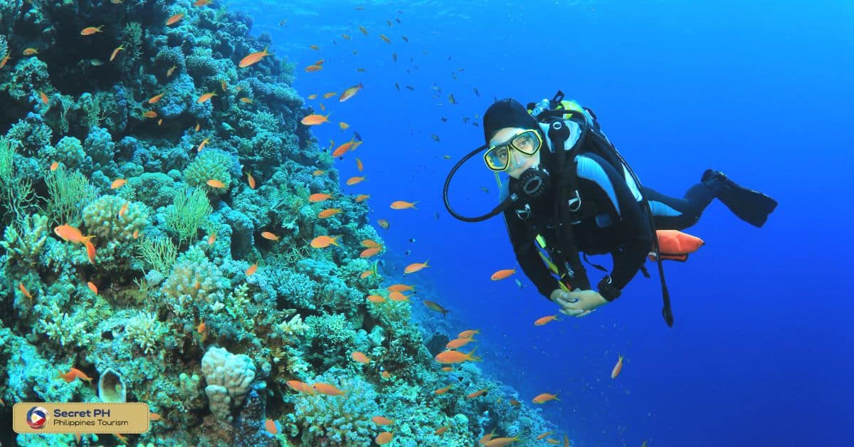 Cebu Fun Divers