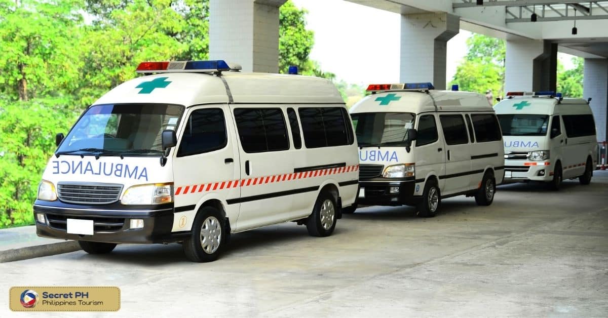 Challenges and Opportunities for Emergency Services in Rural Areas: Future Outlook
