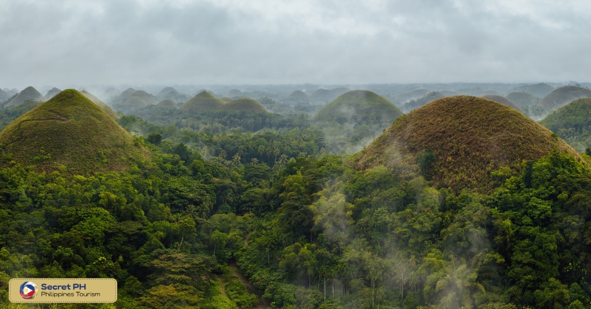 Chocolate Hills weather