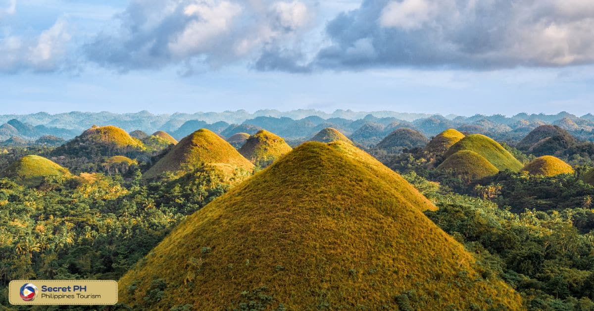 Chocolate Hills