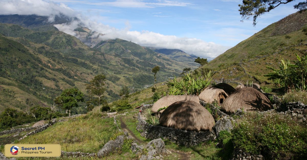 Conservation Efforts and Environmental Awareness