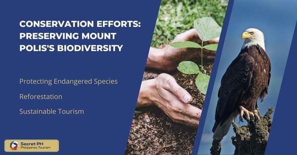 Conservation Efforts: Preserving Mount Polis's Biodiversity