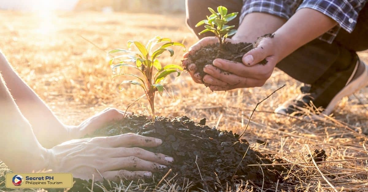 Conservation Efforts to Protect the Sierra Madre Mountains