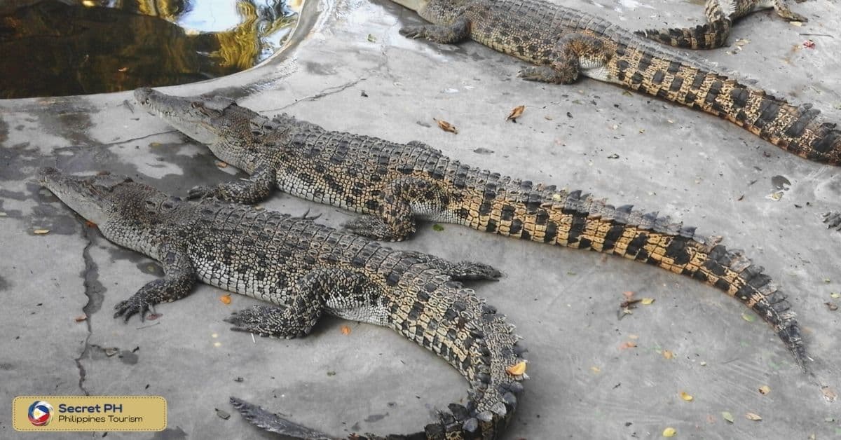 Davao Crocodile Park