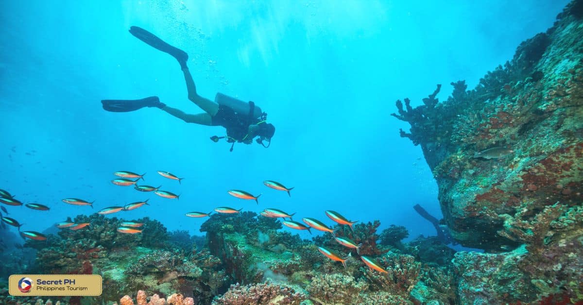 Deep Zone Dive Center