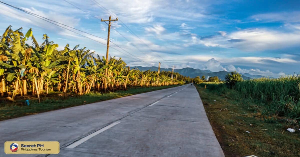 Don Salvador Benedicto, Negros Occidental
