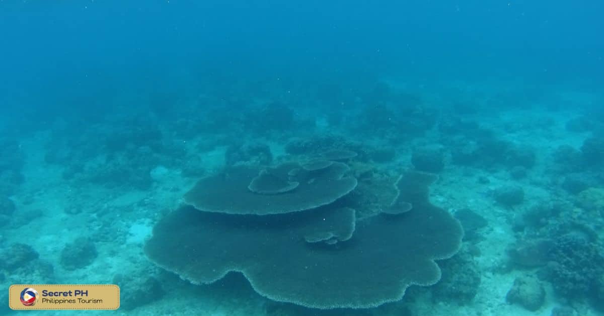 Evolution Recreational and Technical Diving