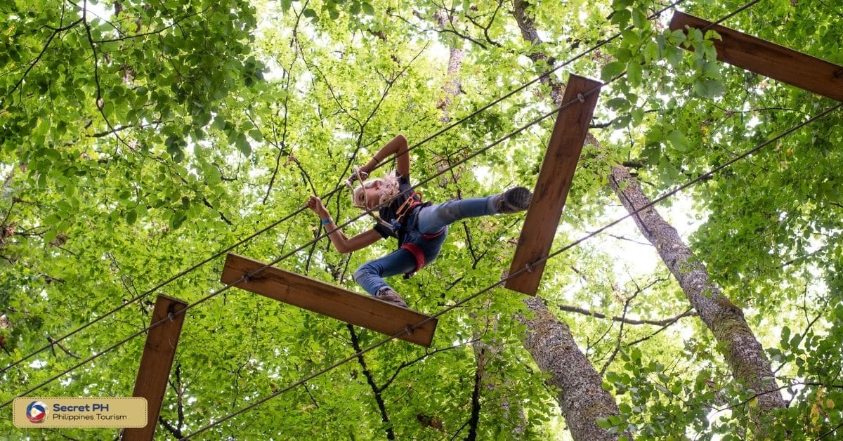 Explore the Tree Top Adventure