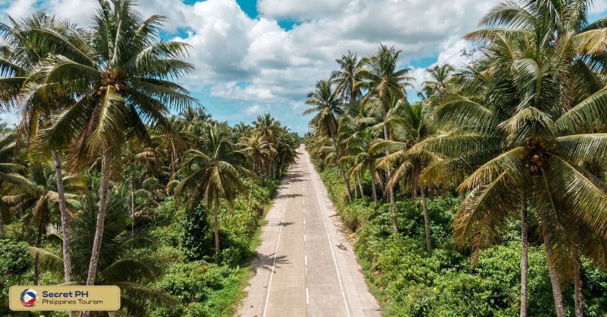 Exploring Nature's Bounty_ Adventure and Eco-Tourism in Apayao