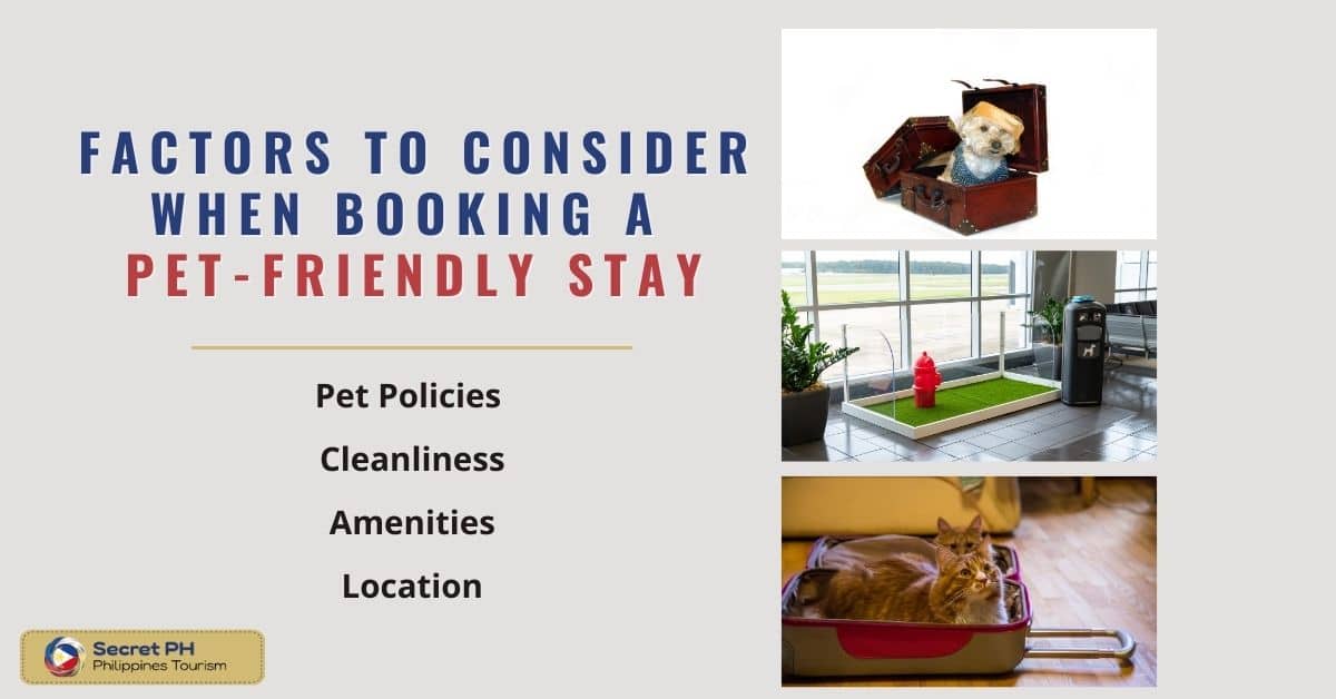 Factors to Consider When Booking a Pet-Friendly Stay