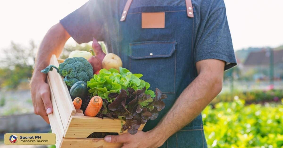 Farm-Fresh Ingredients