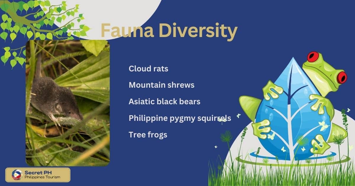 Fauna Diversity