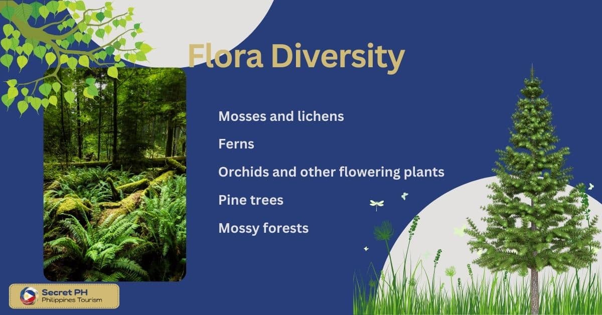 Flora Diversity