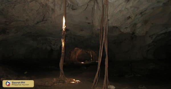 Flora in Manacota Cave