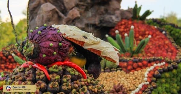Fruit Festival